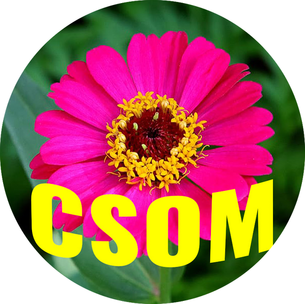 Cuoc Song O My Store